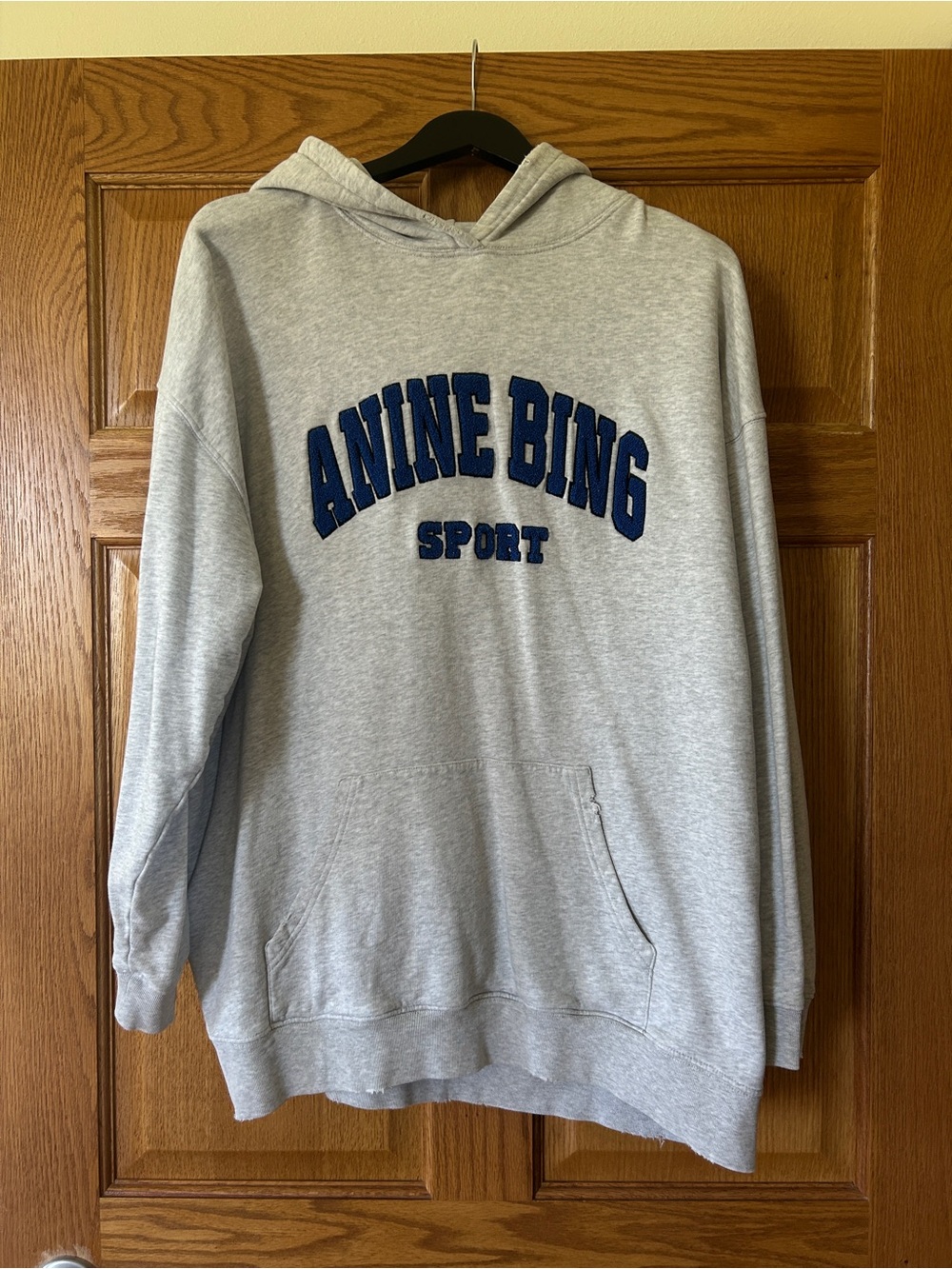 Anine Bing Sport hoodie